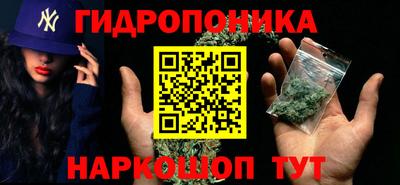 спиды Шелехов