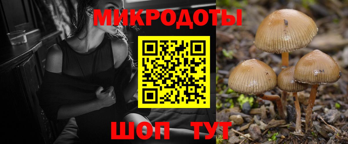 Углич  Псилоцибиновые грибы MAGIC MUSHROOMS  купить  цена  Вход с VPN  Псилоцибиновые грибы GOLDEN TEACHER 